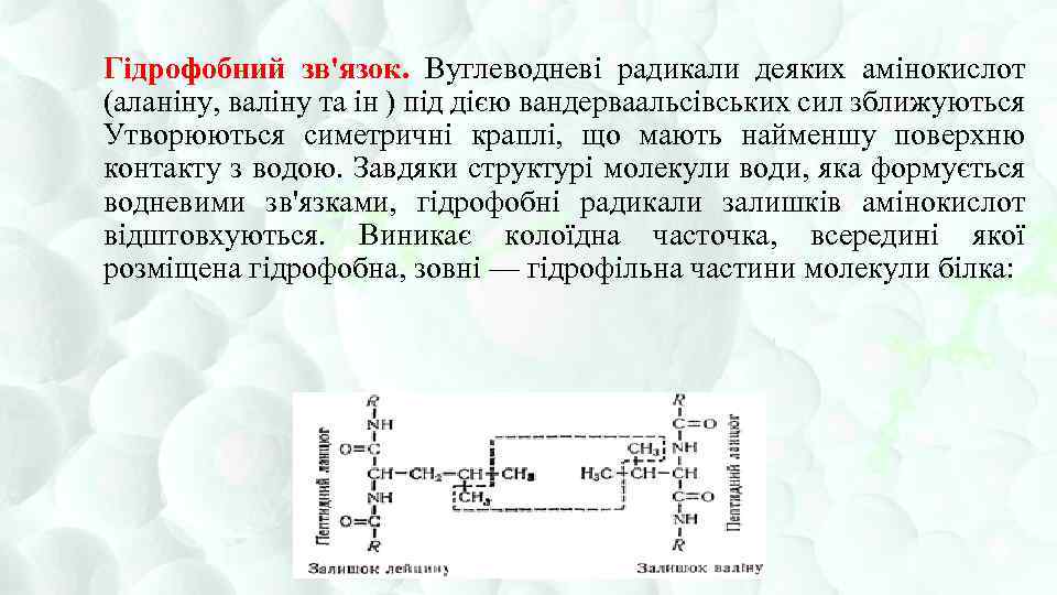 Гідрофобний зв'язок. Вуглеводневі радикали деяких амінокислот (аланіну, валіну та ін ) під дією вандерваальсівських