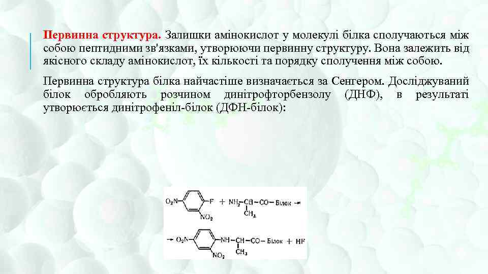 Первинна структура. Залишки амінокислот у молекулі білка сполучаються між собою пептидними зв'язками, утворюючи первинну
