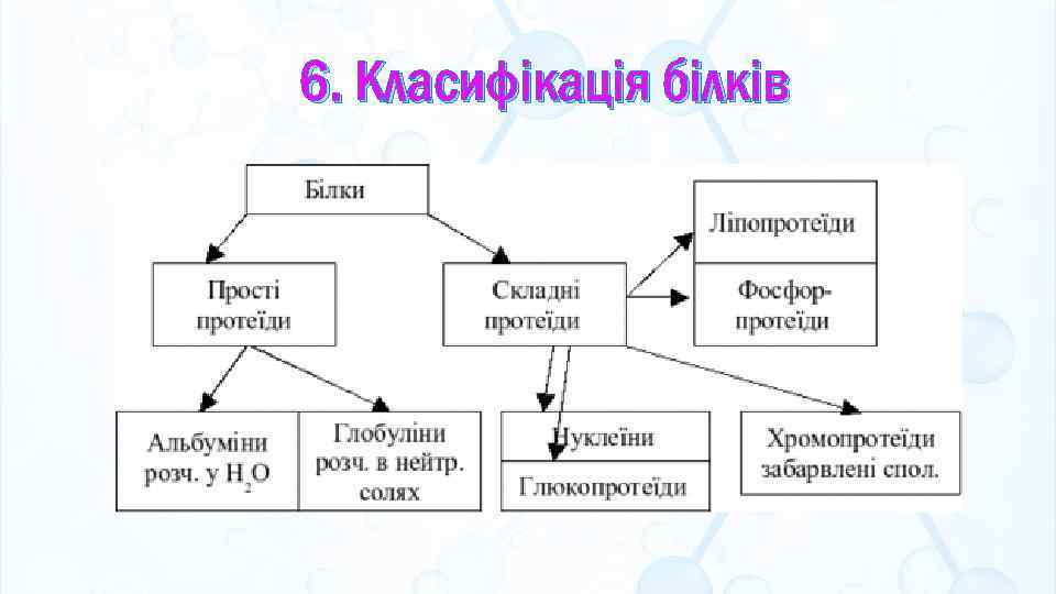 6. Класифікація білків 