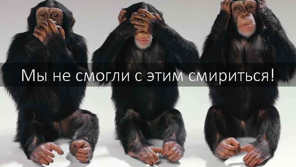 Мы не смогли с этим смириться! 