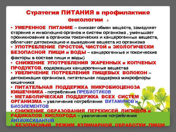 Стратегия ПИТАНИЯ в профилактике онкологии 5 • УМЕРЕННОЕ ПИТАНИЕ – снижает обмен веществ, замедляет