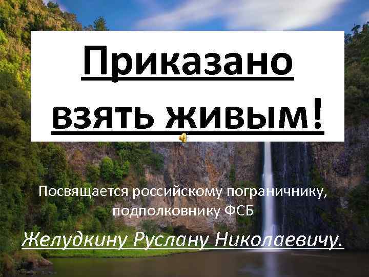 Приказано взять живым! Посвящается российскому пограничнику, подполковнику ФСБ Желудкину Руслану Николаевичу. 