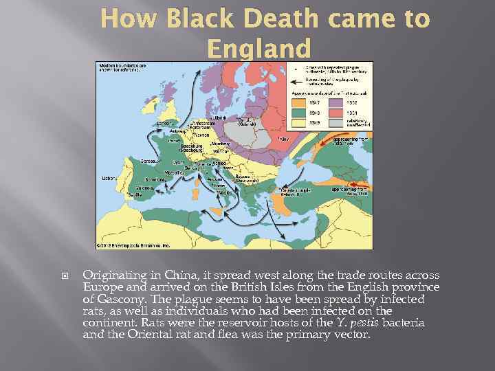 How Black Death came to England Originating in China, it spread west along the