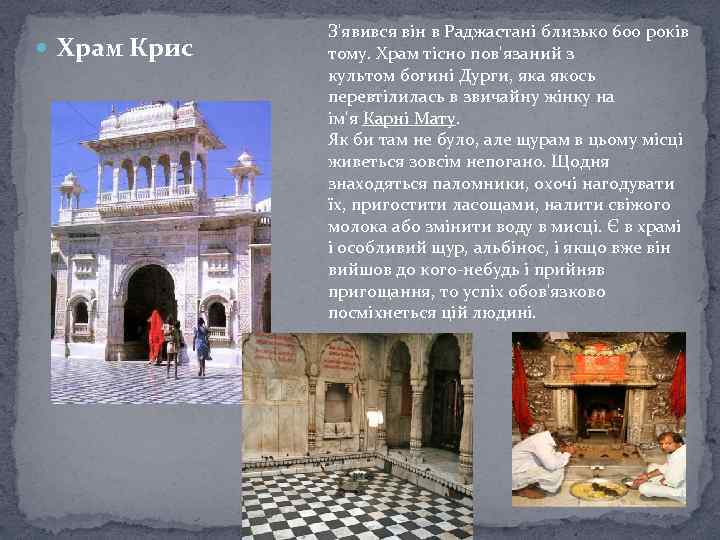  Храм Крис З'явився він в Раджастані близько 600 років тому. Храм тісно пов'язаний