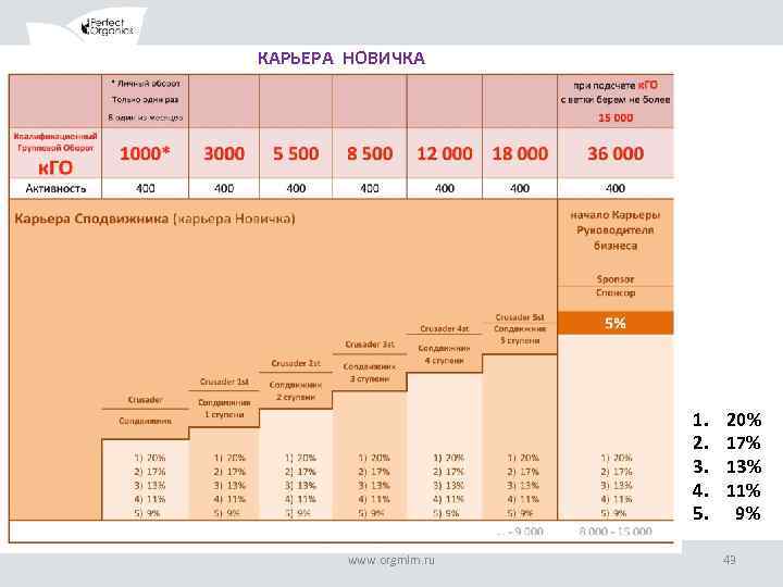 КАРЬЕРА НОВИЧКА 1. 2. 3. 4. 5. www. orgmlm. ru 20% 17% 13% 11%