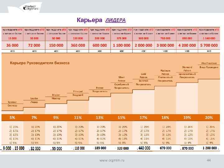 Карьера ЛИДЕРА www. orgmlm. ru 44 