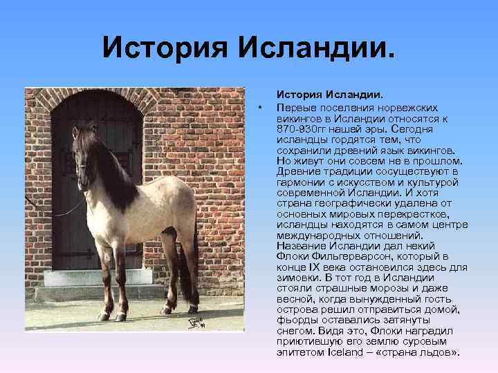 История Исландии. • История Исландии. Первые поселения норвежских викингов в Исландии относятся к 870