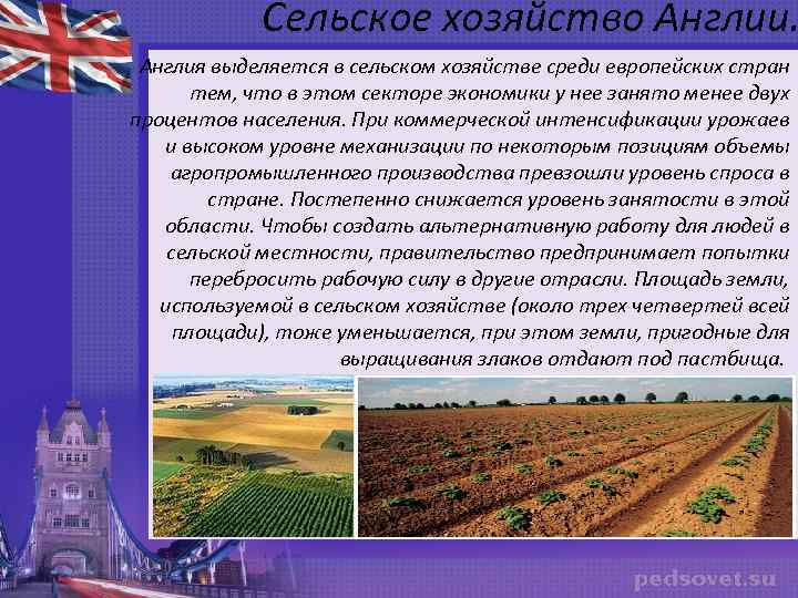 Сельское хозяйство Англии. Англия выделяется в сельском хозяйстве среди европейских стран тем, что в
