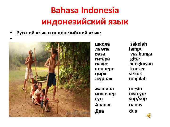 Bahasa Indonesia индонезийский язык • Русский язык и индонезийский язык: • школа лампа ваза
