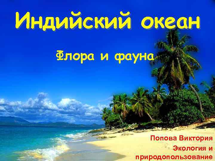 Индийский океан Флора и фауна Попова Виктория Экология и природопользование 