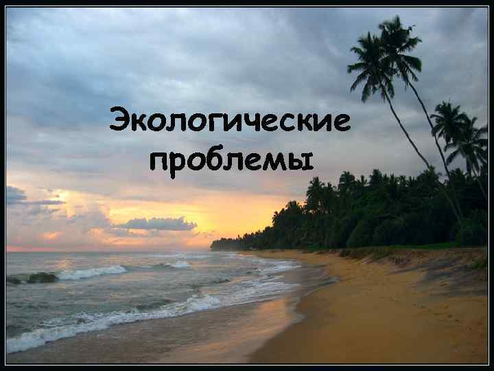 Экологические проблемы 