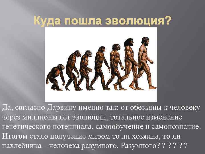 Куда пошла эволюция? Да, согласно Дарвину именно так: от обезьяны к человеку через миллионы