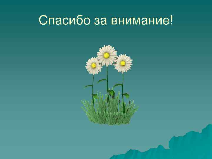 Спасибо за внимание! 