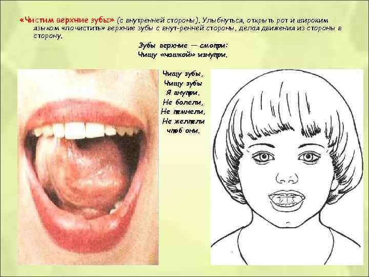  «Чистим верхние зубы» (с внутренней стороны). Улыбнуться, открыть рот и широким языком «почистить»