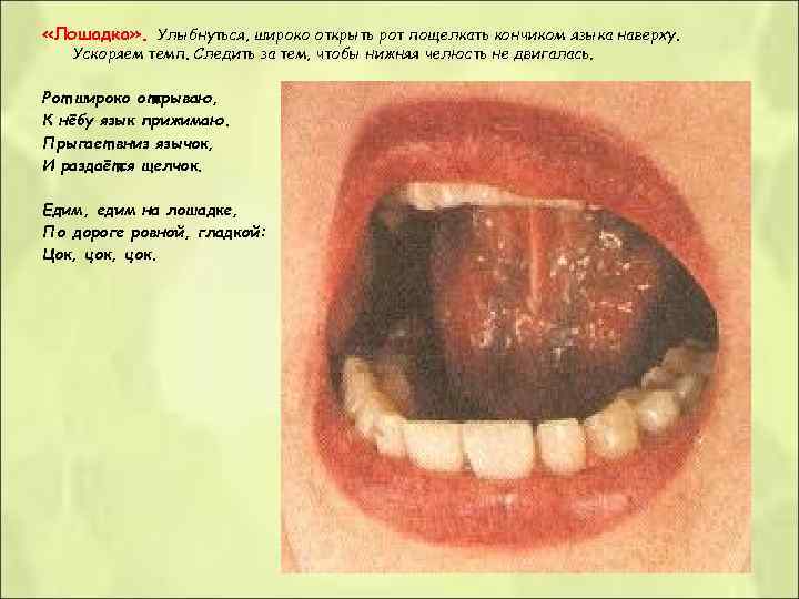  «Лошадка» . Улыбнуться, широко открыть рот пощелкать кончиком языка наверху. Ускоряем темп. Следить