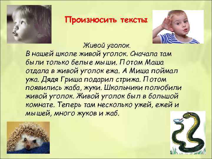 Произносить тексты Живой уголок. В нашей школе живой уголок. Сначала там были только белые