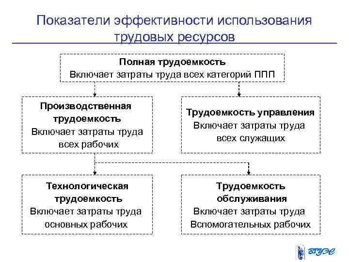 Планы по человеческим трудовым ресурсам определяют