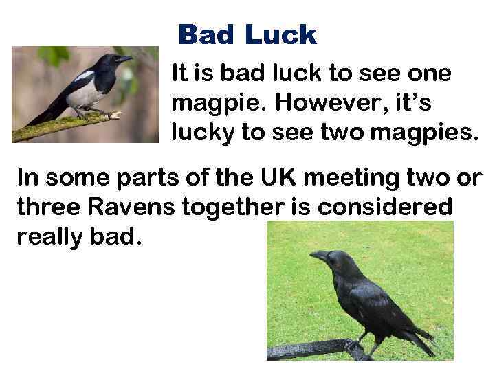 Bad Luck It is bad luck to see one magpie. However, it’s lucky to