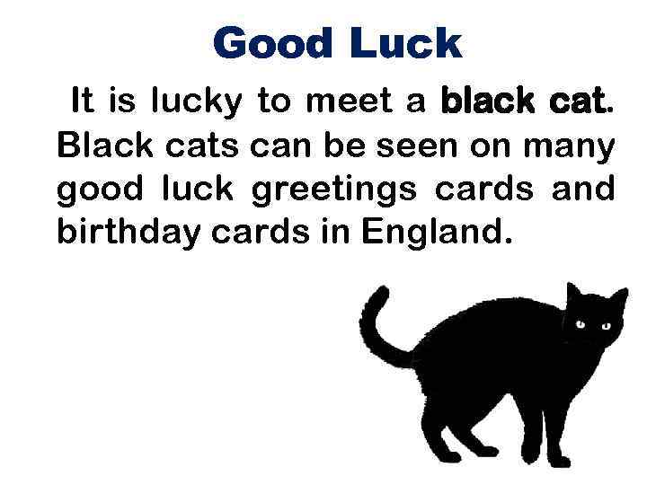 Good Luck It is lucky to meet a black cat. Black cats can be
