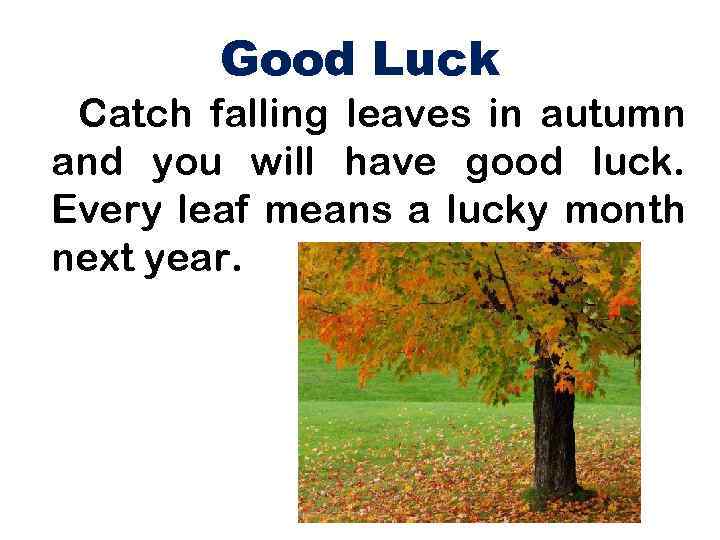 Good Luck Catch falling leaves in autumn and you will have good luck. Every