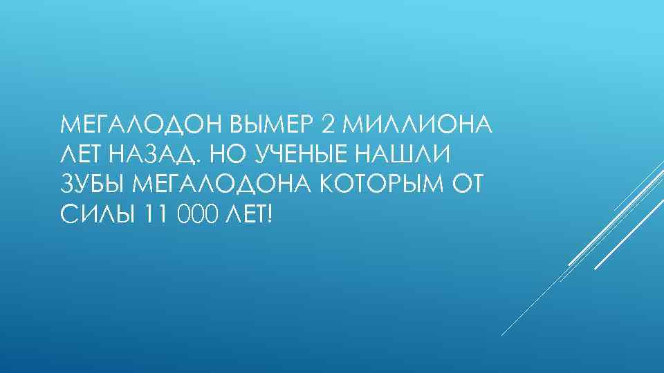 МЕГАЛОДОН ВЫМЕР 2 МИЛЛИОНА ЛЕТ НАЗАД. НО УЧЕНЫЕ НАШЛИ ЗУБЫ МЕГАЛОДОНА КОТОРЫМ ОТ СИЛЫ