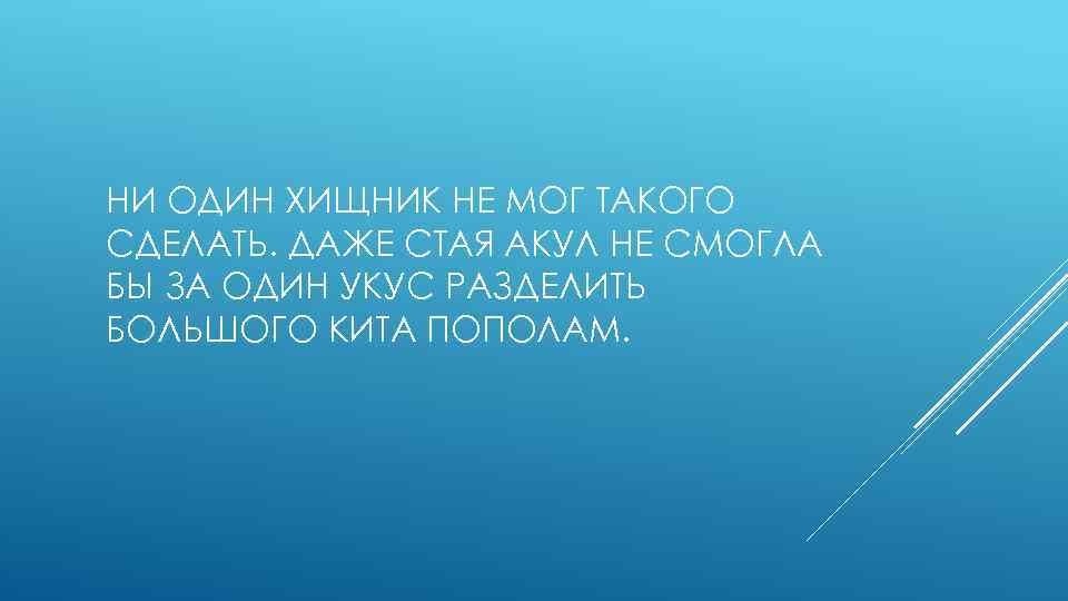 НИ ОДИН ХИЩНИК НЕ МОГ ТАКОГО СДЕЛАТЬ. ДАЖЕ СТАЯ АКУЛ НЕ СМОГЛА БЫ ЗА