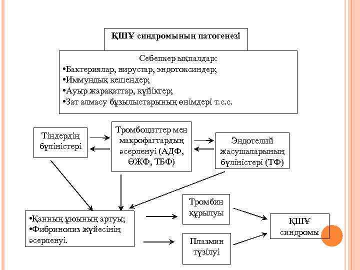 ҚШҰ синдромының патогенезі Себепкер ықпалдар: • Бактериялар, вирустар, эндотоксиндер; • Иммундық кешендер; • Ауыр