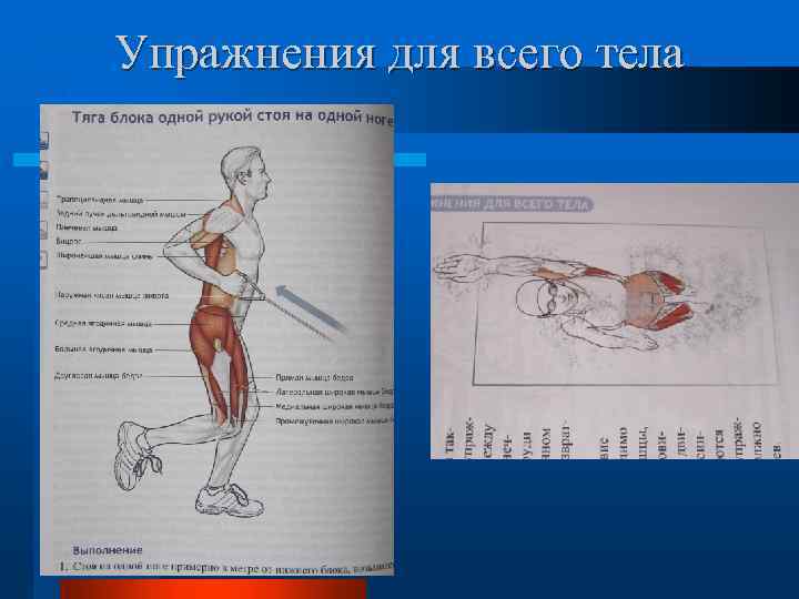 Упражнения для всего тела 