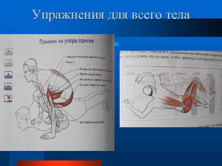 Упражнения для всего тела 