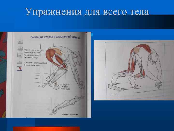 Упражнения для всего тела 