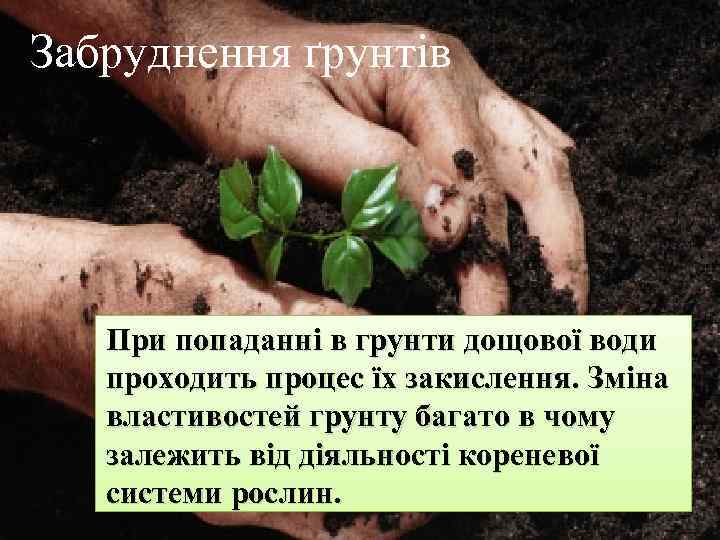 Забруднення ґрунтів При попаданні в грунти дощової води проходить процес їх закислення. Зміна властивостей