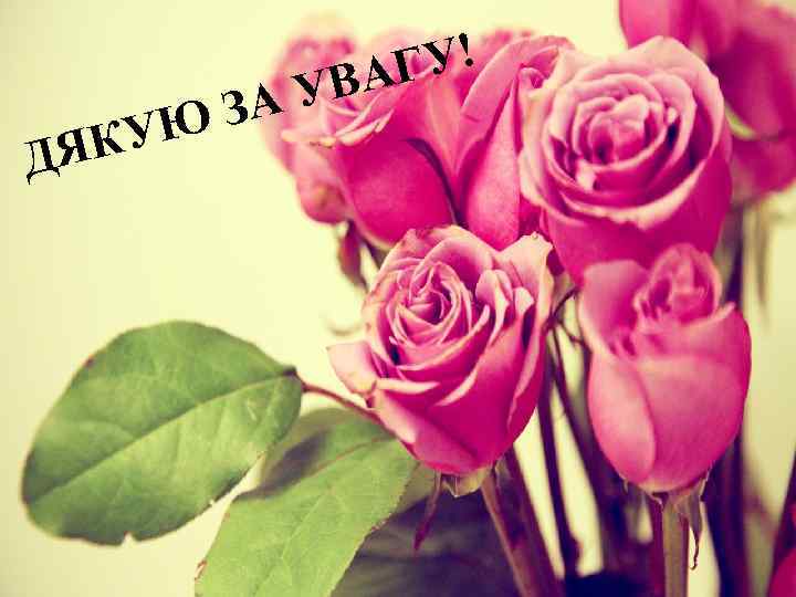 ЯКУ Д АУ З Ю ГУ! ВА 