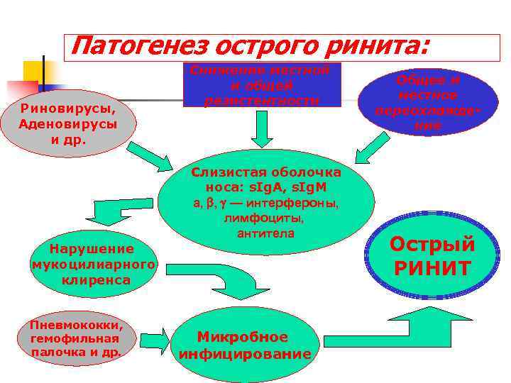 Патогенез острого ринита: Риновирусы, Аденовирусы и др. Снижение местной и общей резистентности Слизистая оболочка