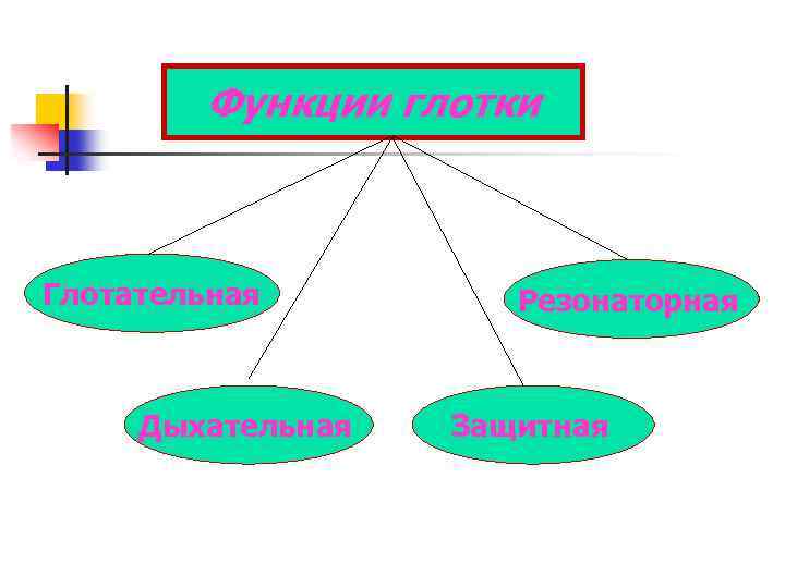 Функции глотки Глотательная Дыхательная Резонаторная Защитная 