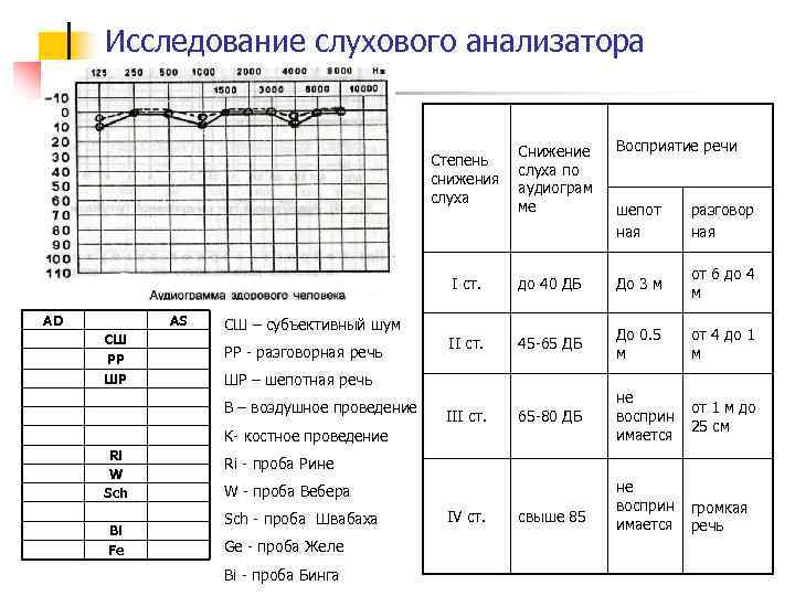 Исследование слуха