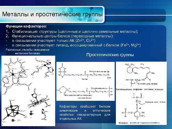 Металлы и простетические группы Функции кофакторов 1. Стабилизация структуры (щелочные и щелочно-земельные металлы); 2.