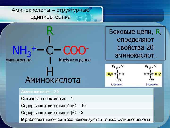 Аминокислоты – структурные единицы белка R NH 3 + C Аминогруппа COO Карбоксигруппа Боковые