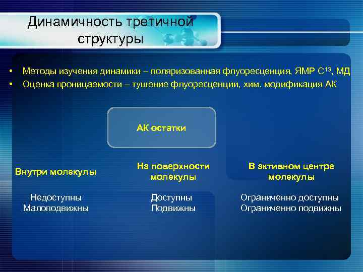 Динамичность третичной структуры • • Методы изучения динамики – поляризованная флуоресценция, ЯМР С 13,