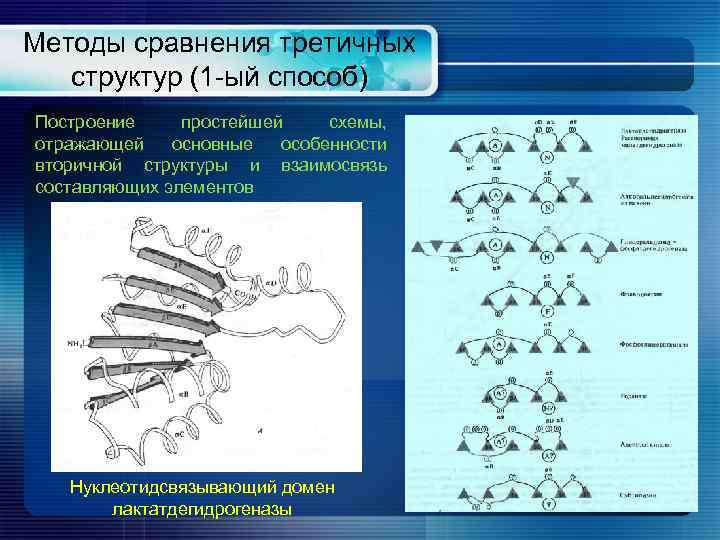 Методы сравнения третичных структур (1 -ый способ) Построение простейшей схемы, отражающей основные особенности вторичной