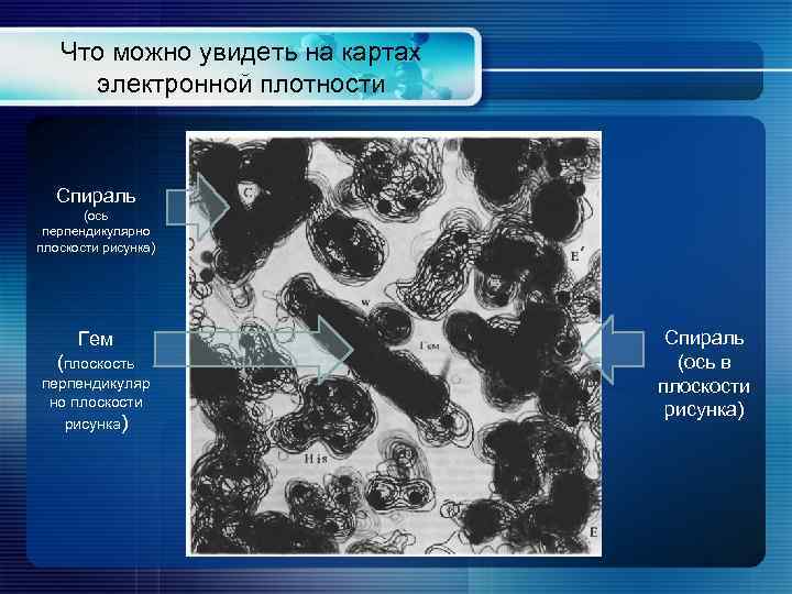 Что можно увидеть на картах электронной плотности Спираль (ось перпендикулярно плоскости рисунка) Гем (плоскость