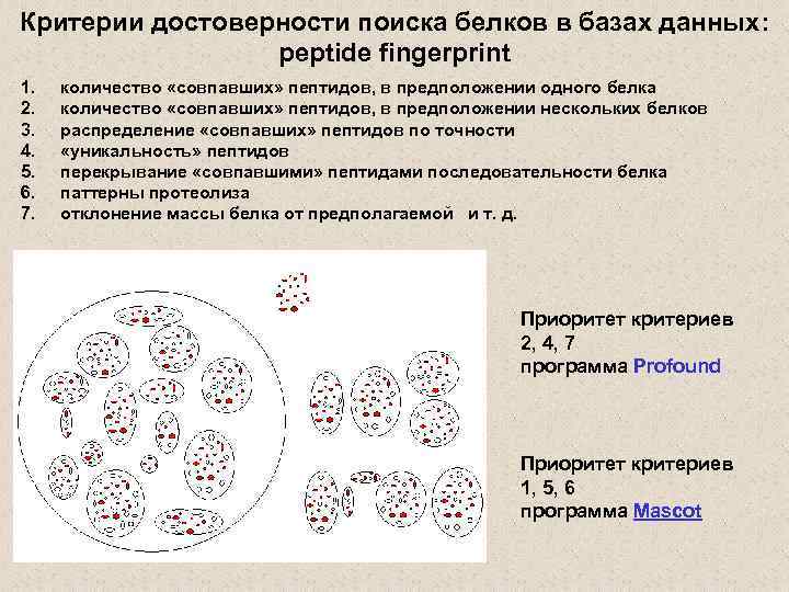 Критерии достоверности поиска белков в базах данных: peptide fingerprint 1. 2. 3. 4. 5.