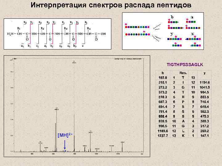 Интерпретация спектров распада пептидов TIGTHPSSSAGLK [MH]2+ 