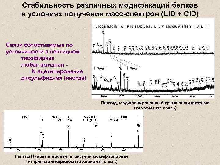 Стабильность различных модификаций белков в условиях получения масс-спектров (LID + CID) Связи сопоставимые по
