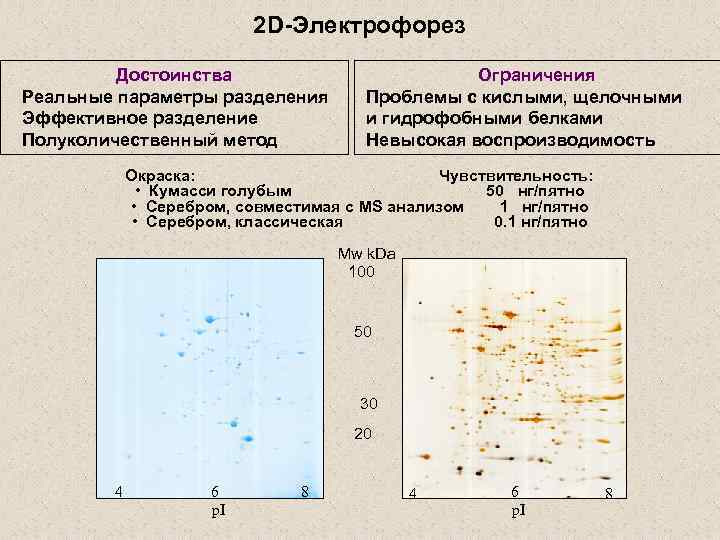 2 D-Электрофорез Достоинства Реальные параметры разделения Эффективное разделение Полуколичественный метод Ограничения Проблемы с кислыми,