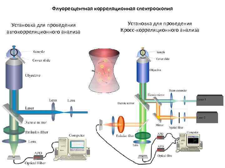 Флуоресцентная корреляционная спектроскопия Установка для проведения автокорреляционного анализа Установка для проведения Кросс-корреляционного анализа 