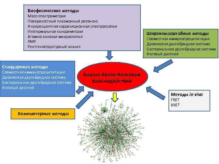 Биофизические методы Масс-спектрометрия Поверхностный плазмонный резонанс Флуоресцентная корреляционная спектроскопия Изотермальная калориметрия Атомно-силовая микроскопия ЯМР