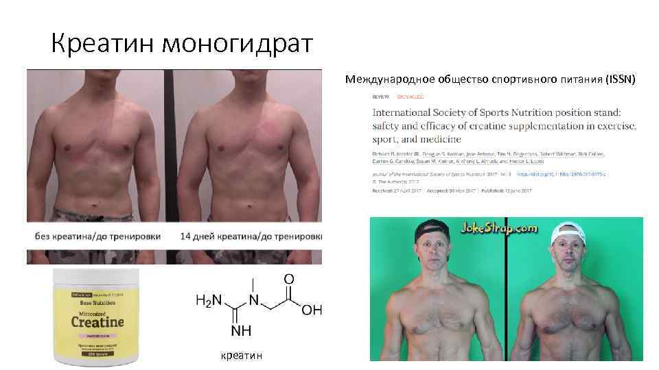 Креатин моногидрат Международное общество спортивного питания (ISSN) креатин 