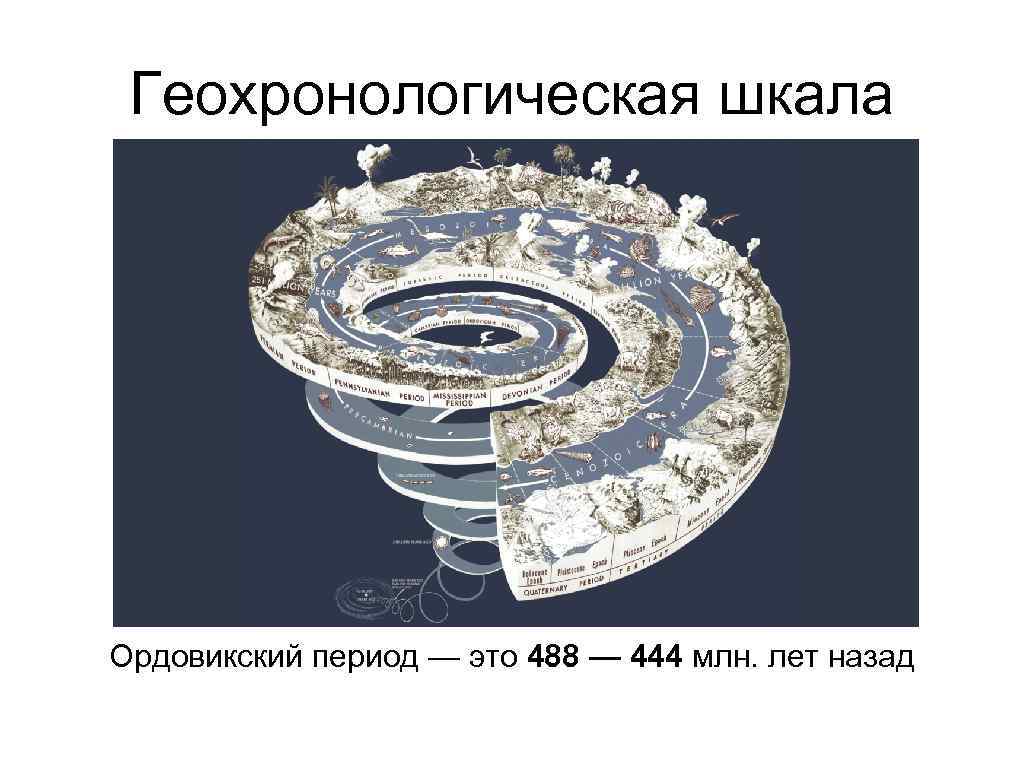 Геохронологическая шкала Ордовикский период — это 488 — 444 млн. лет назад 