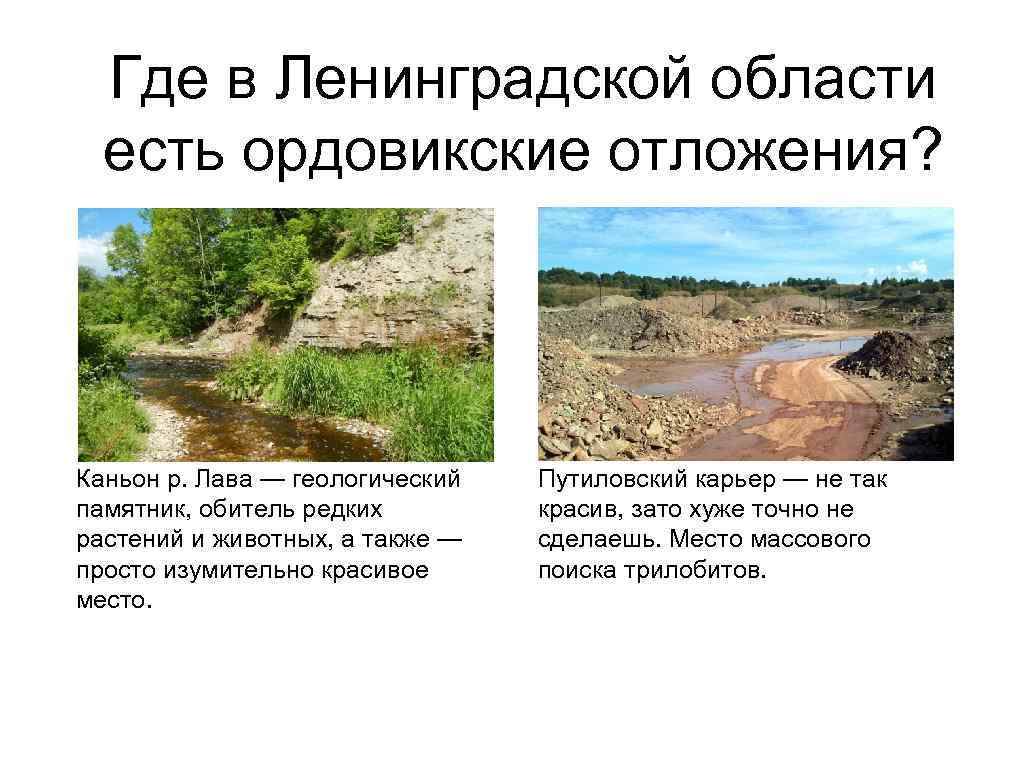 Где в Ленинградской области есть ордовикские отложения? Каньон р. Лава — геологический памятник, обитель