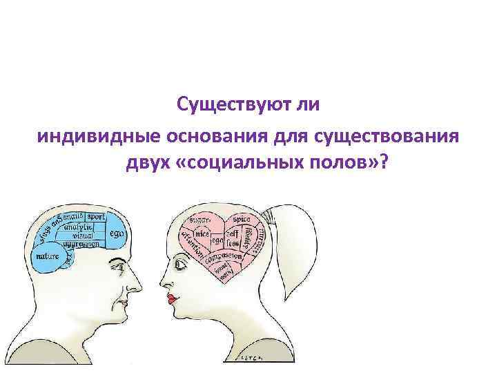Существуют ли индивидные основания для существования двух «социальных полов» ? 